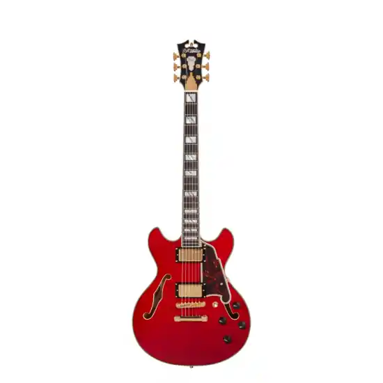 Meilleur Prix D‘ANGELICO Excel Mini DC Trans Cherry