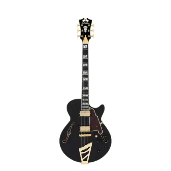D‘ANGELICO Excel SS Solid Black Meilleur Prix