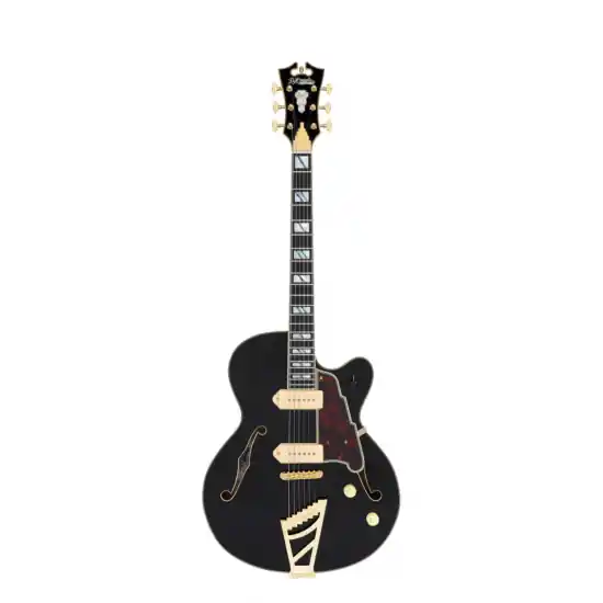 D‘ANGELICO Excel 59 Solid Black Nouvel Arrivage