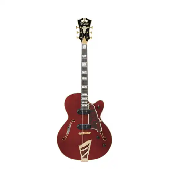 D‘ANGELICO Excel 59 Viola Quantité Limitée