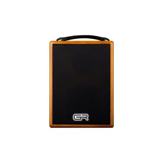 Promotion Saisonnière GR GUITAR WD Acoustic 5