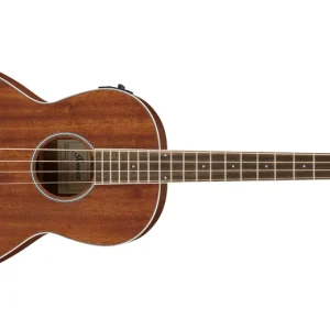 Remise Ibanez 4-String Acoustic-Electric Bass Guitar, Short Scale - Open Pore Natural