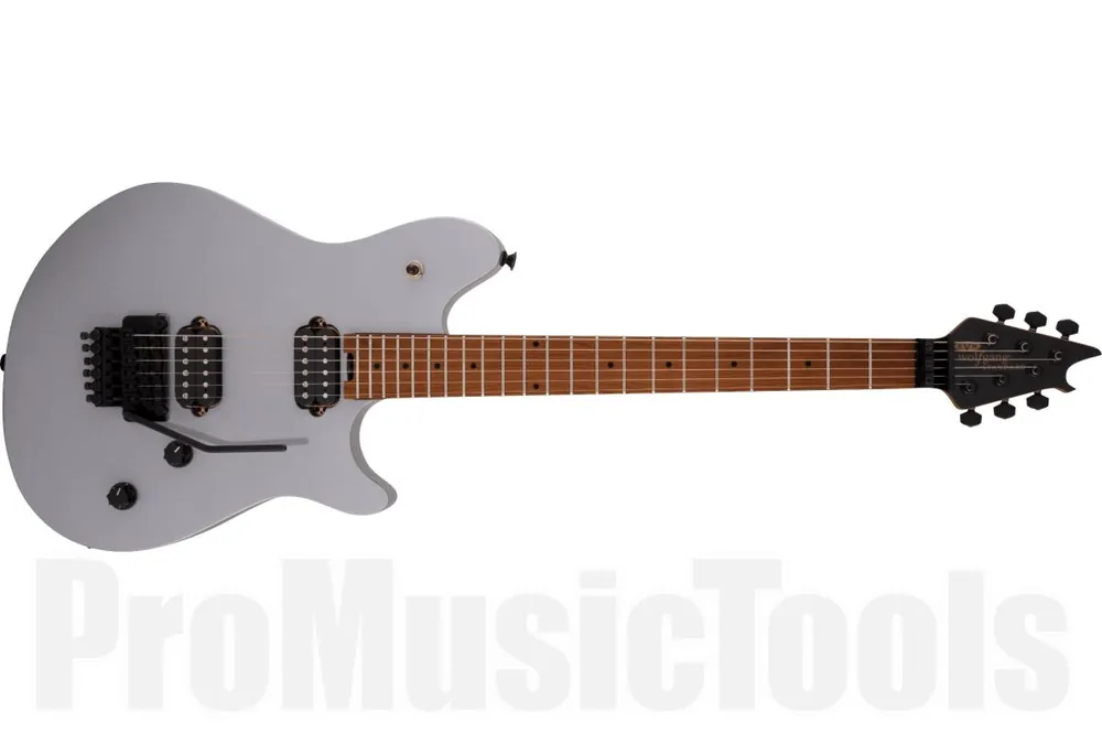 EVH Wolfgang WG Standard MN Quicksilver Paiement Sécurisé