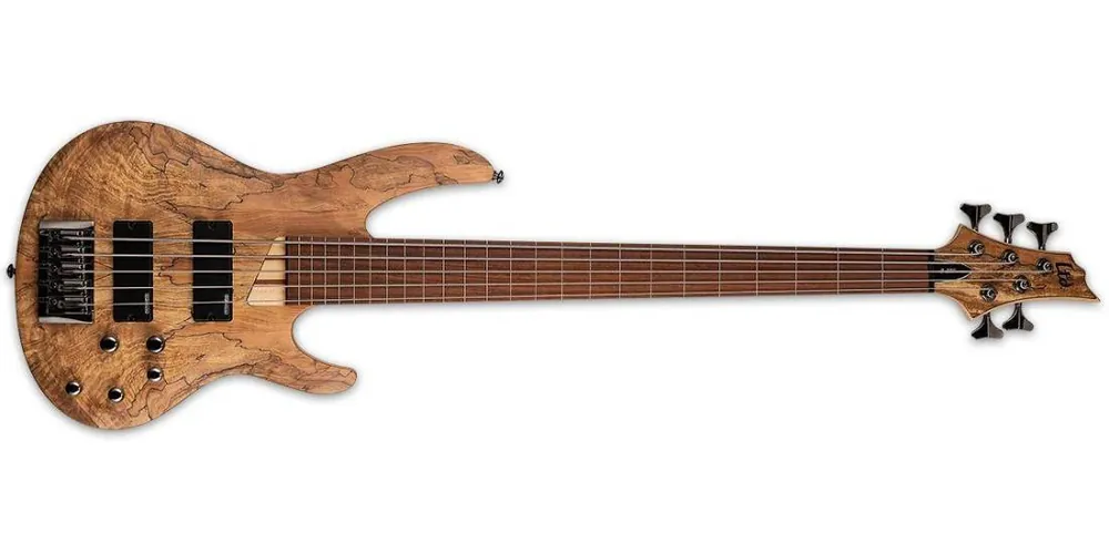 ESP Guitars LTD B-205SM Fretless 5-String Bass - Natural Satin Bon Marché