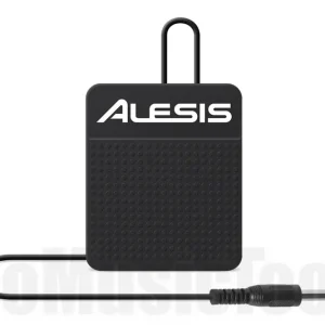 Livraison Express Alesis ASP-1