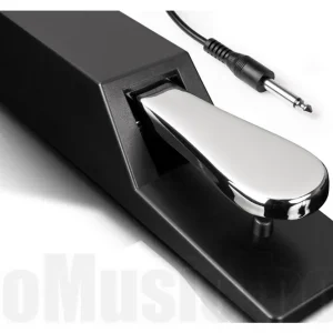Alesis ASP-2 Populaire