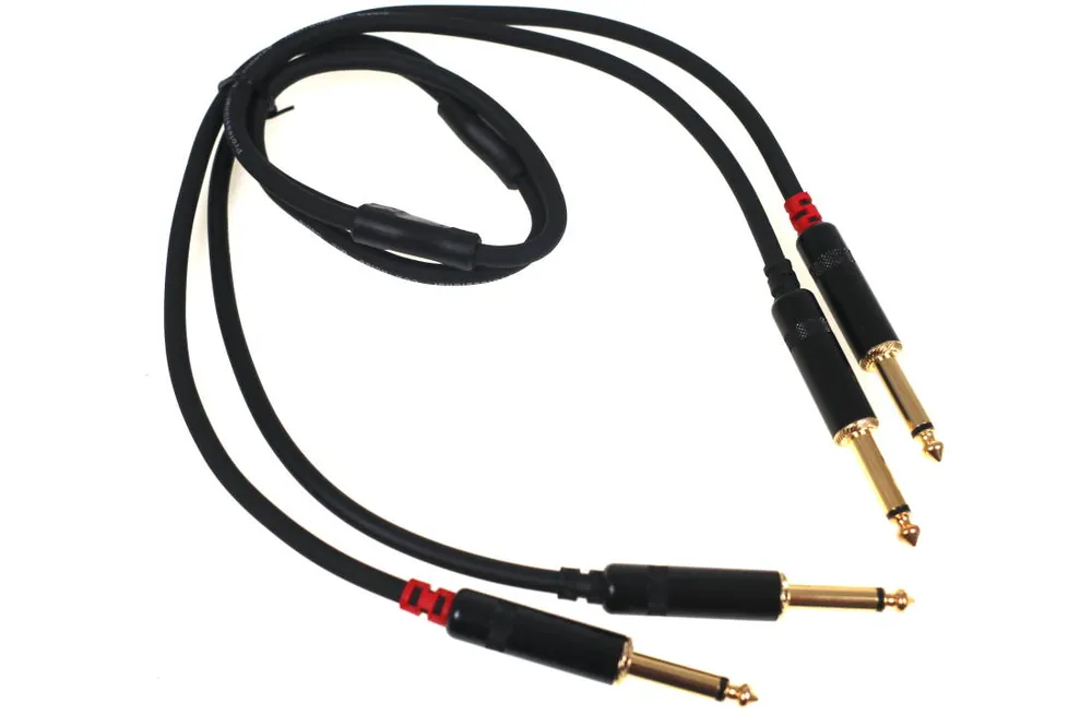 Achetez Aujourd'hui Link Audio Link Audio Premium Dual 1/4 to 1/4 Cable - 3 Foot