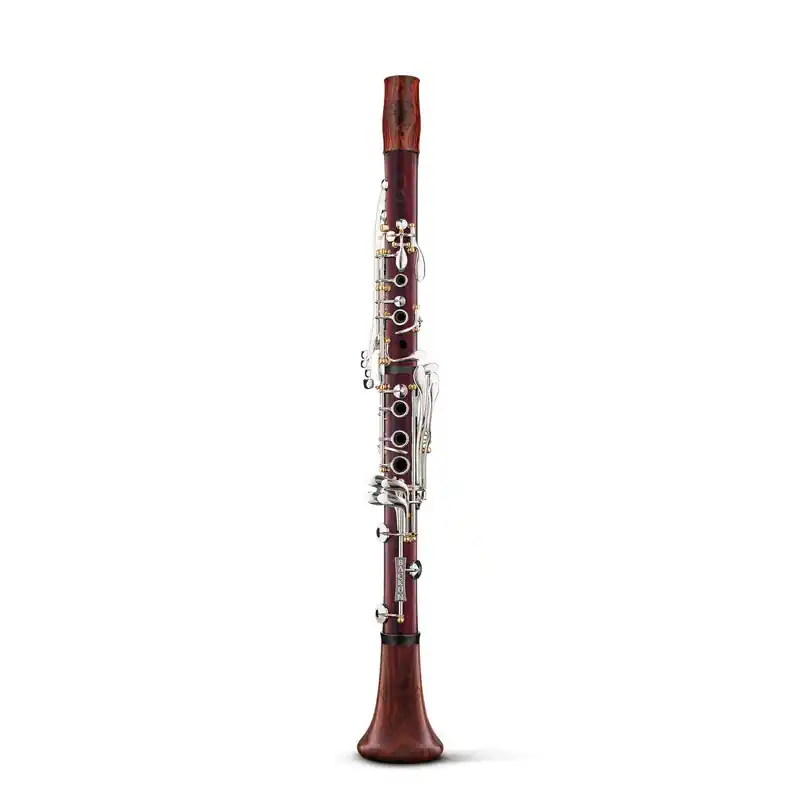 Backun Q Series Professional Cocobolo Bb Clarinet with Gold Posts and Silver Keywork Produit De Marque