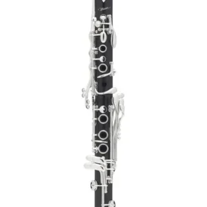 Bon Marché Selmer B16 Bb Muse Professional Clarinet Outfit