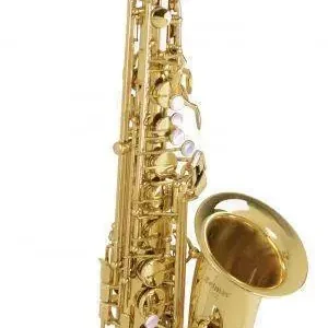 Selmer Intermediate Alto Sax w/Bam Case Offre Limitée