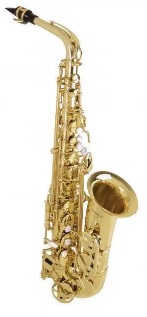 Selmer Intermediate Alto Sax w/Bam Case Offre Limitée