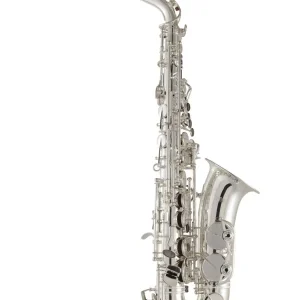 Selmer SAS511 Intermediate Alto Saxophone with Case - Silver-Plated Soldes