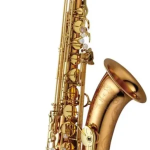 Nouvel Arrivage Yanagisawa Elite Tenor Saxophone - Bronze
