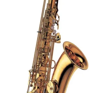 Acheter En Ligne Yanagisawa Professional Bb Tenor Saxophone - Lacquered