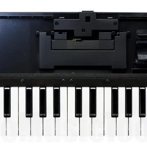 Roland K-25M Petit Prix