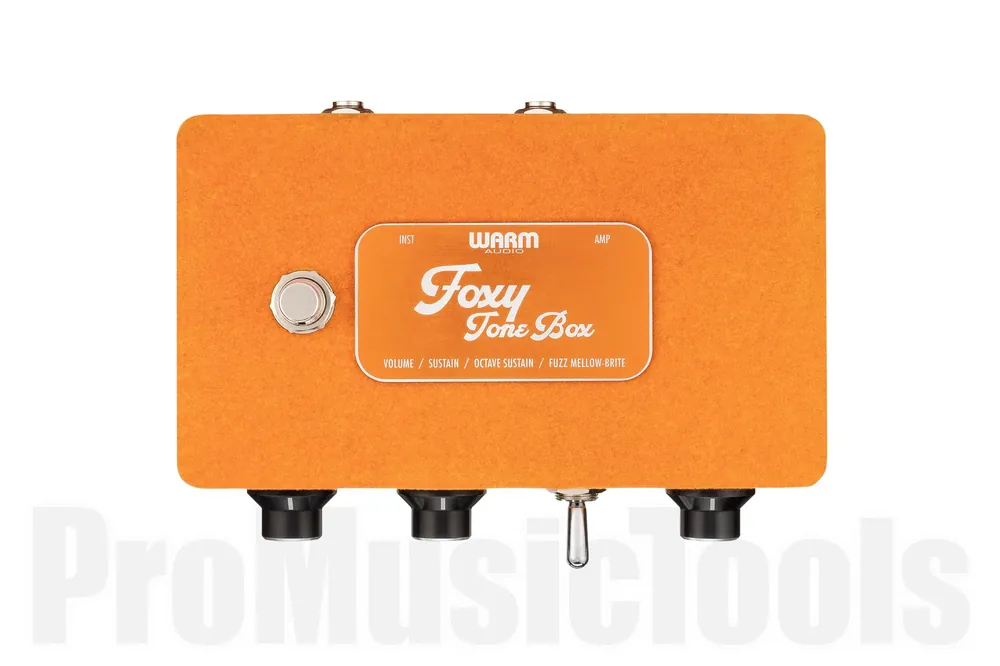 Warm Audio WA-FTB Dernier Modèle
